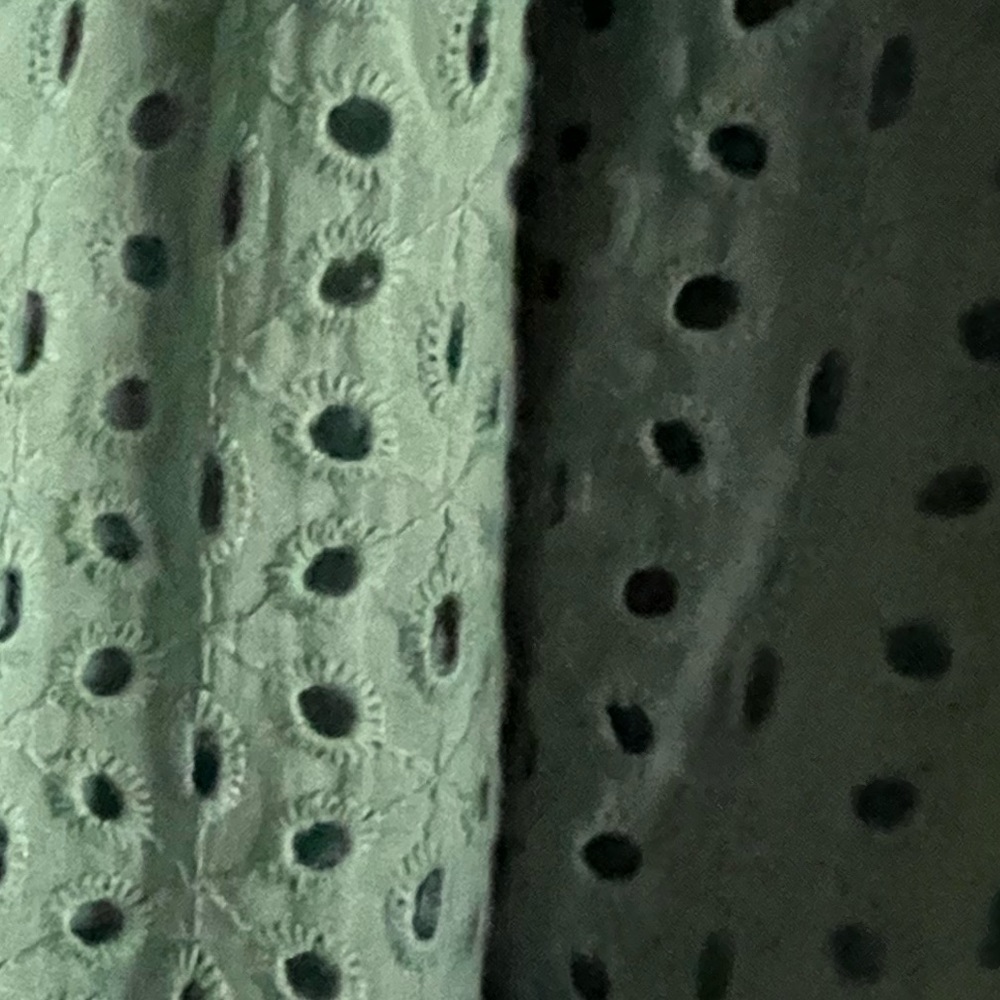 Karina Grimaldi Irina Eyelet Mini Dress in Sage size XS from Revolve - Picture 13 of 14